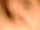 dscn5898